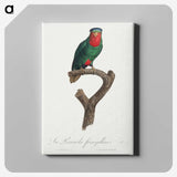2-32_Francois-Levaillant_canvas