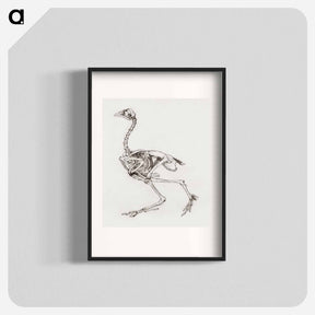 アートポスター-Dorking Hen Skeleton
 - ジョージ スタッブス Poster.