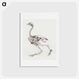 アートポストカード-Dorking Hen Skeleton
 - ジョージ スタッブス Postcard.
