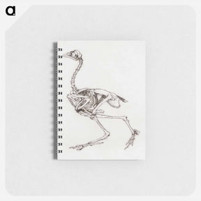アートメモ帳-Dorking Hen Skeleton
 - ジョージ スタッブス Memo.