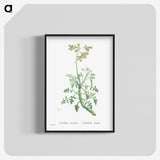 2-32_Histoire-des-Plantes-Grasses_blk-crop