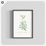 2-32_Histoire-des-Plantes-Grasses_blk