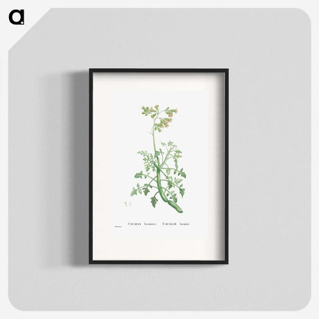 2-32_Histoire-des-Plantes-Grasses_blk