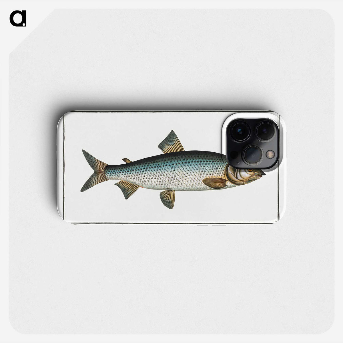 2-32_Ichtyologie-ou-Histoire-naturelle_phone