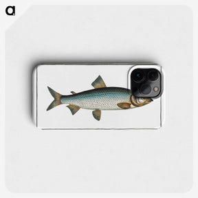 2-32_Ichtyologie-ou-Histoire-naturelle_phone