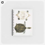 2-32_Indian-Zoology_memo