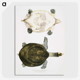 2-32_Indian-Zoology_picture-crop