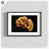 2-32_Insects-Unlocked-Project_blk