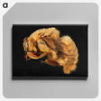 2-32_Insects-Unlocked-Project_canvas