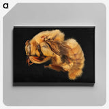 2-32_Insects-Unlocked-Project_canvas