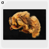 2-32_Insects-Unlocked-Project_picture-crop