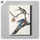 2-32_John-James-Audubon_canvas