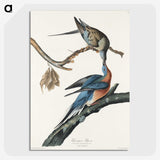 2-32_John-James-Audubon_picture-crop