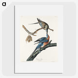 2-32_John-James-Audubon_picture