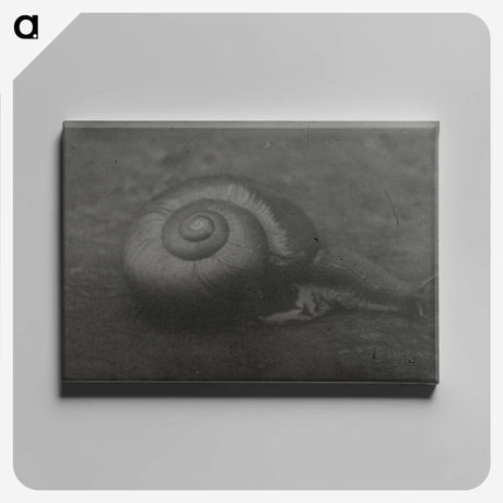 2-32_Leslie-Adkin_canvas