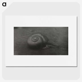 2-32_Leslie-Adkin_picture