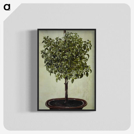 2-32_Maria-Sibylla-Merian_blk-crop