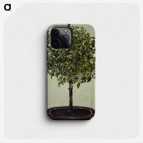 2-32_Maria-Sibylla-Merian_phone