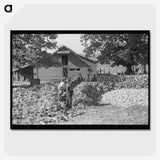 2-32_Marion-Post-Wolcott_picture-crop