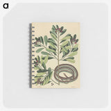2-32_Mark-Catesby_memo