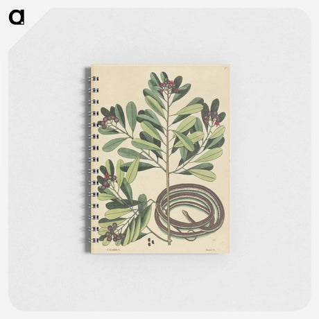 アートメモ帳-The Ribbon Snake
 - マーク ケイツビー Memo.