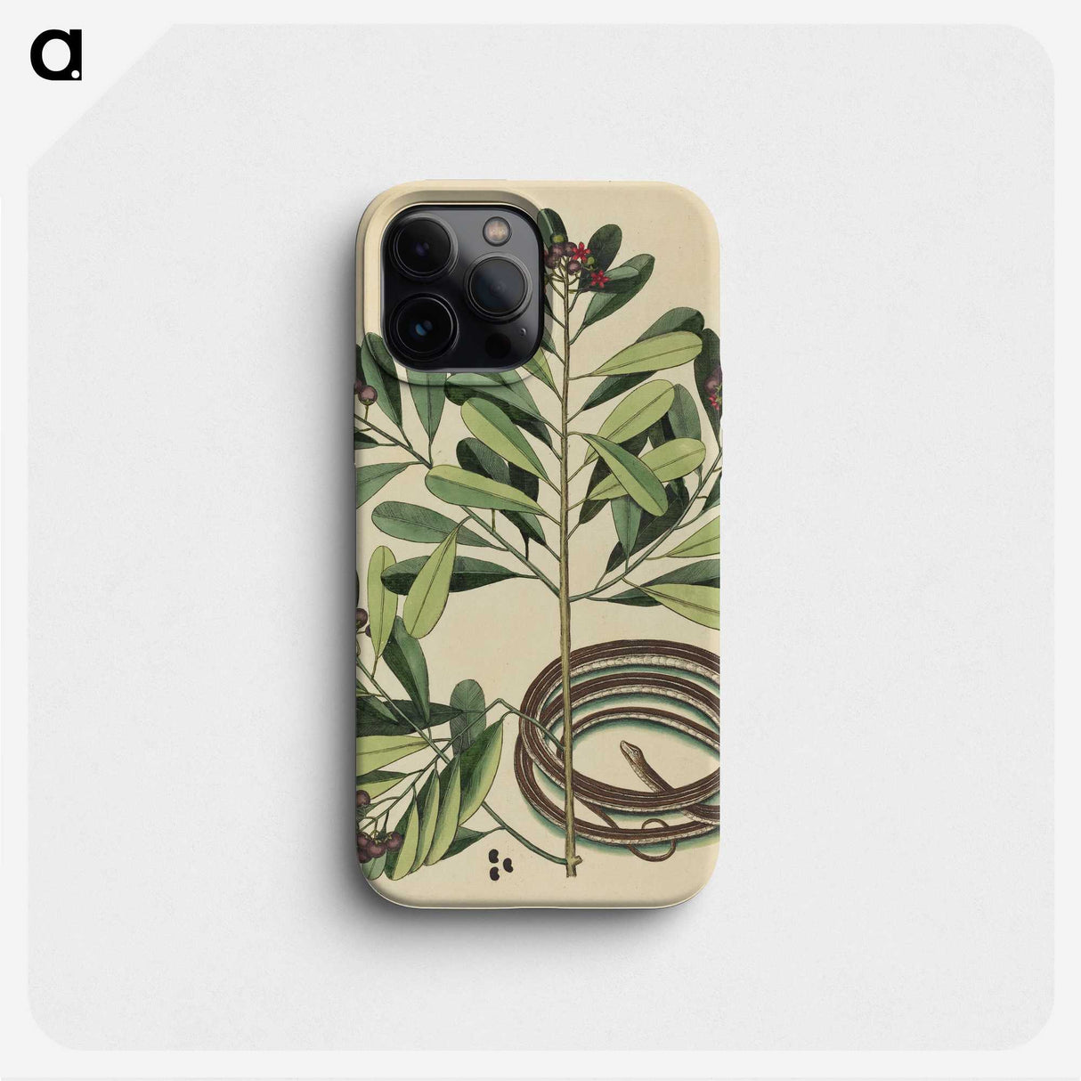 2-32_Mark-Catesby_phone