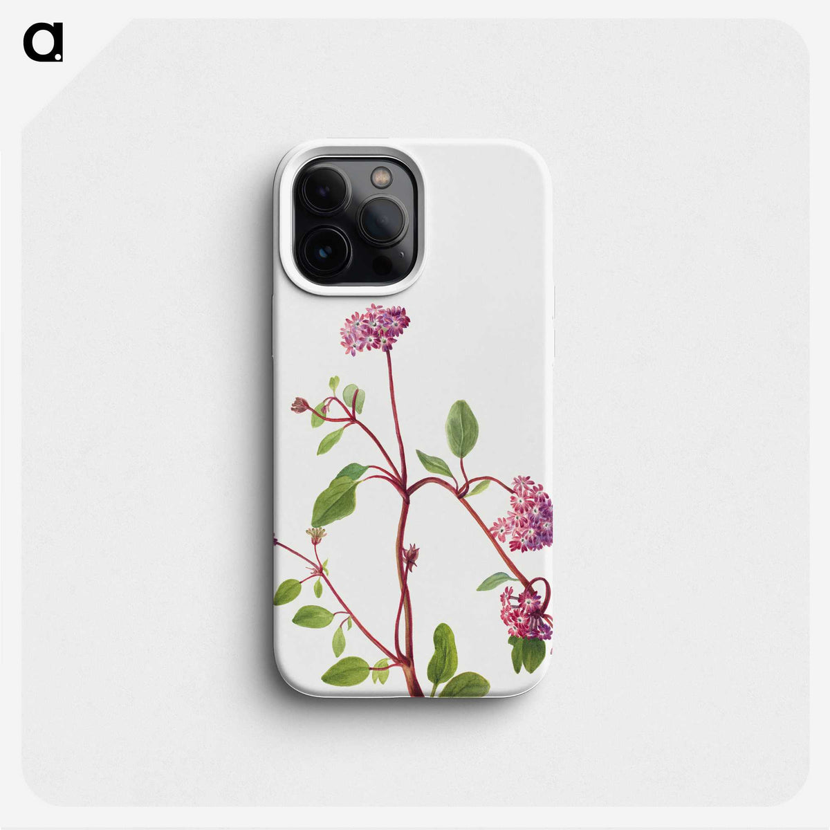 2-32_Mary-Vaux-Walcott_phone