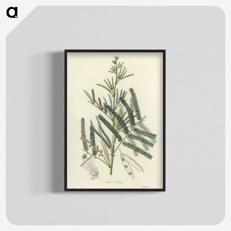 2-32_Medical-Botany_blk-crop
