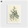 2-32_Medical-Botany_hagaki