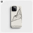 2-32_Moths-and-Butterflies-of-the-United-States_phone