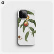 2-32_Pomona-Italiana_phone