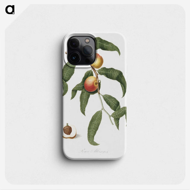 2-32_Pomona-Italiana_phone