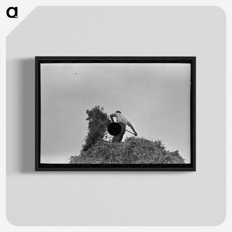 2-32_Russell-Lee_blk-crop