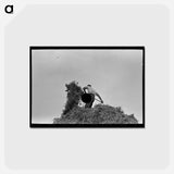アートポストカード-Pea Vine Farmer
 - ラッセル リー Postcard.