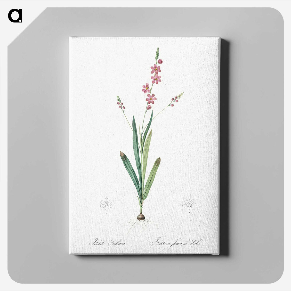 2-32_The-Lilies_canvas