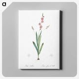 2-32_The-Lilies_canvas
