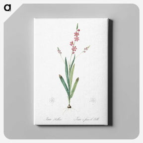 2-32_The-Lilies_canvas