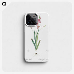2-32_The-Lilies_phone