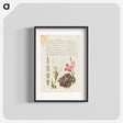 アートポスター-Reed Grass, French Rose, Toad, and Gilly Flower
 - 書道のお手本 Poster.