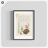 アートポスター-Reed Grass, French Rose, Toad, and Gilly Flower
 - 書道のお手本 Poster.