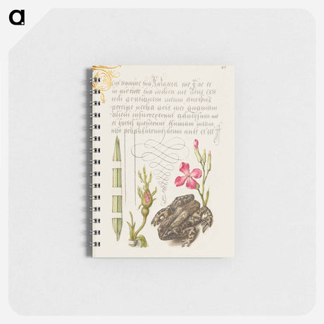 アートメモ帳-Reed Grass, French Rose, Toad, and Gilly Flower
 - 書道のお手本 Memo.