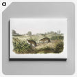 2-32_The-Viviparous-Quadrupeds_canvas