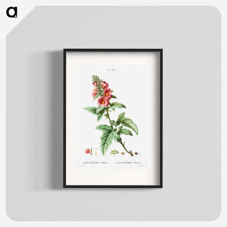 2-32_Treatise-on-Trees-and-Shrubs_blk