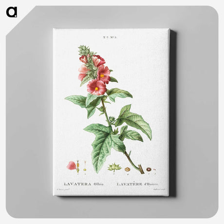 2-32_Treatise-on-Trees-and-Shrubs_canvas