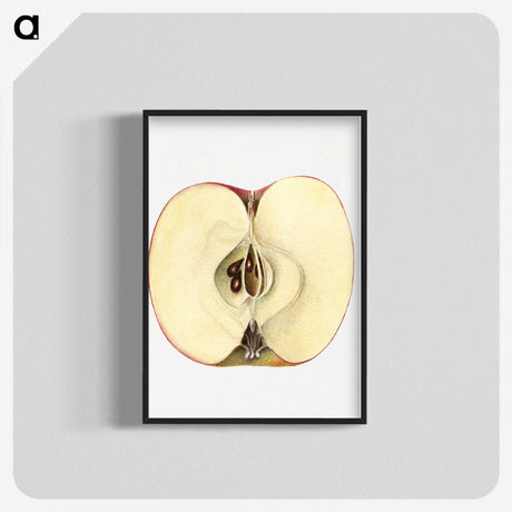 2-32_USDA-Watercolor-Fruit-Painting-Collection_blk-crop