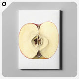 2-32_USDA-Watercolor-Fruit-Painting-Collection_canvas