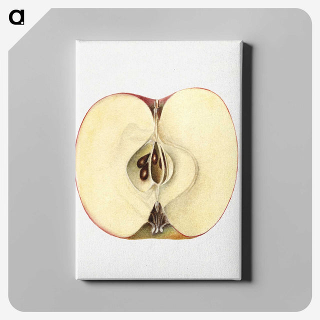 2-32_USDA-Watercolor-Fruit-Painting-Collection_canvas