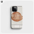 2-33_Anselmus-Boetius-de-Boodt_phone