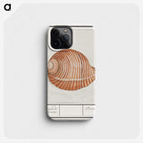 2-33_Anselmus-Boetius-de-Boodt_phone