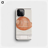 Shell of a sea snail - アンセルムス ボエティウス デ ブート Phone Case.